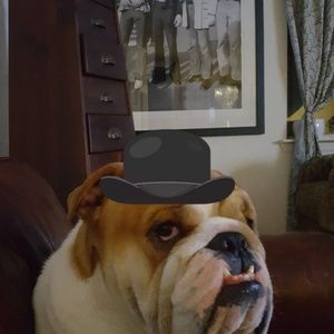 Meet your Posher, Ken